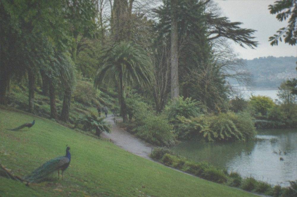 Tree-lined paths and lawns in Cristina Enea park in Egia