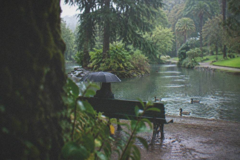 People sitting on benches under trees beside a garden pond in the late afternoon