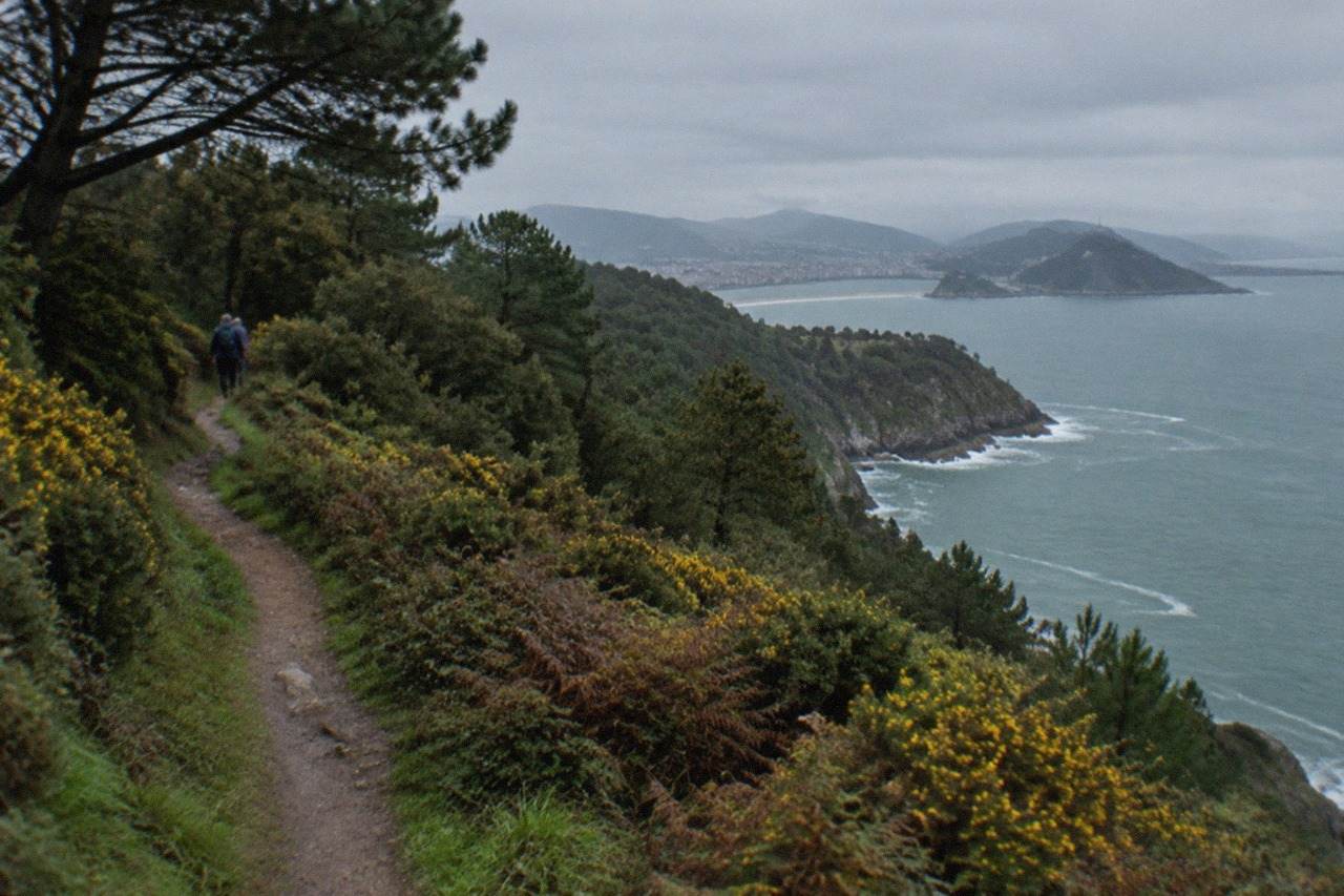Wooded ridge of Monte Ulia above the coastline with the Bay of Biscay beyond
