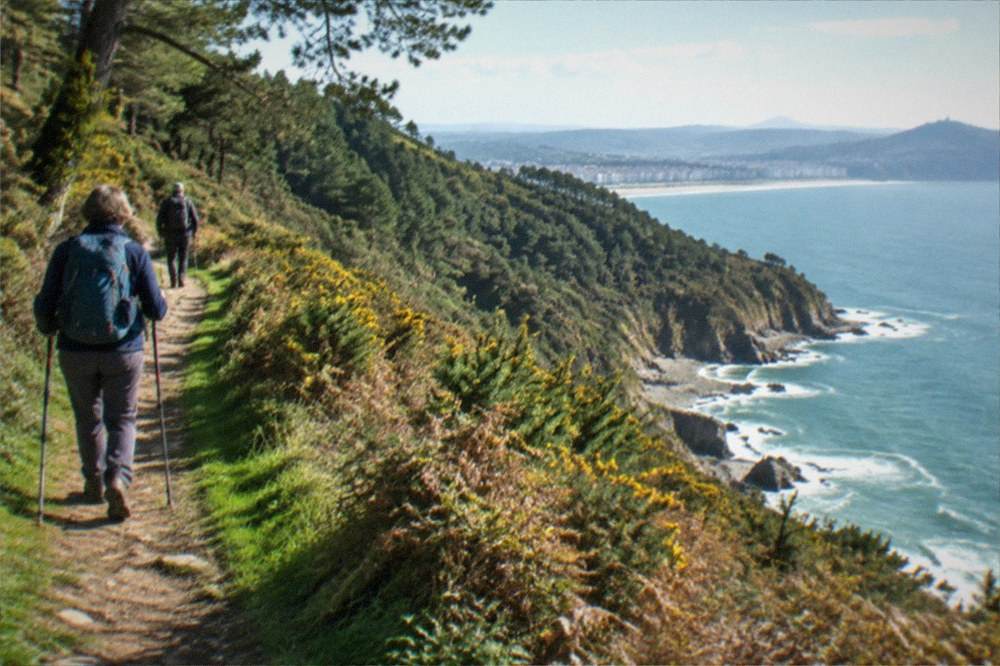 Hikers with walking poles on a coastal trail above green cliffs
