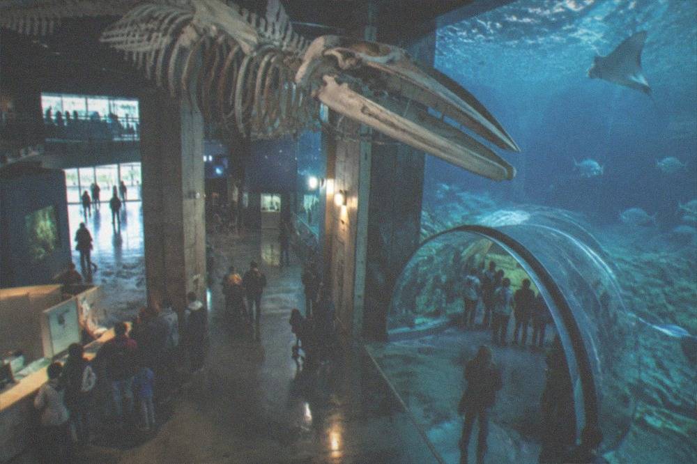 The aquarium entrance hall with visitors at the ticket desk in the late afternoon