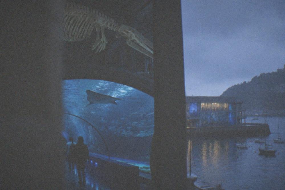 Rain falling on the harbour water with the aquarium building and moored boats in the background