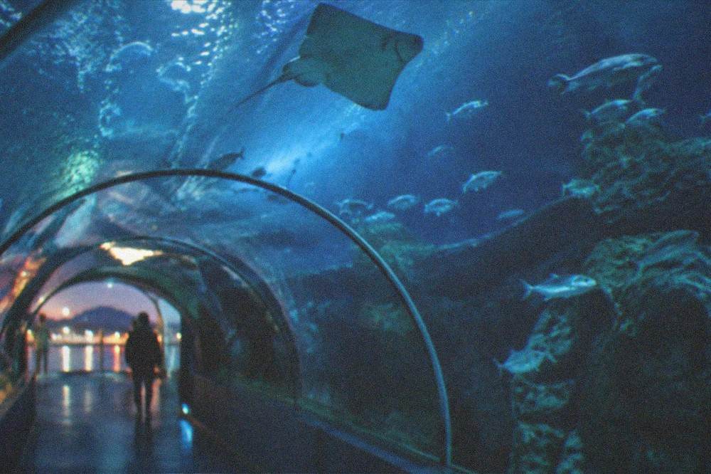 The illuminated aquarium entrance at evening with the harbour lights reflected in the water