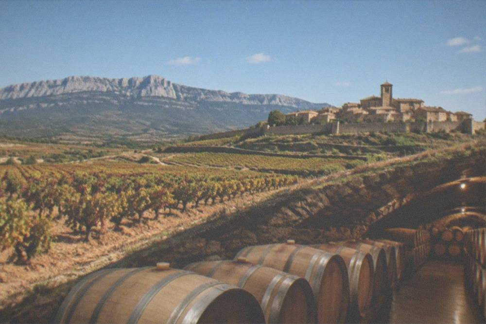 Rows of oak barrels in an underground Rioja cellar