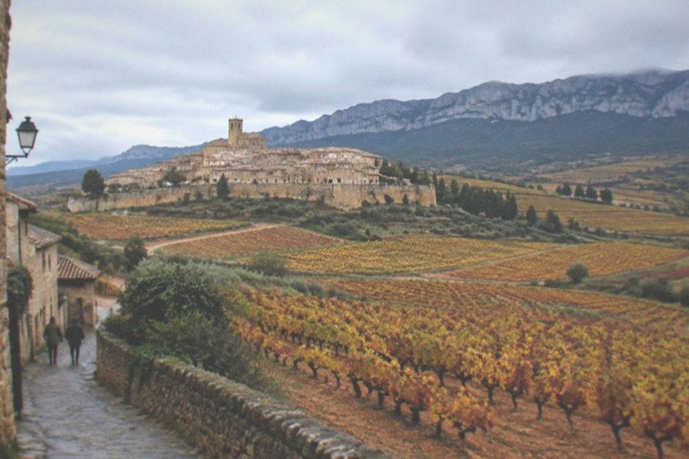 Vineyard rows on rolling hills in Rioja Alavesa wine country