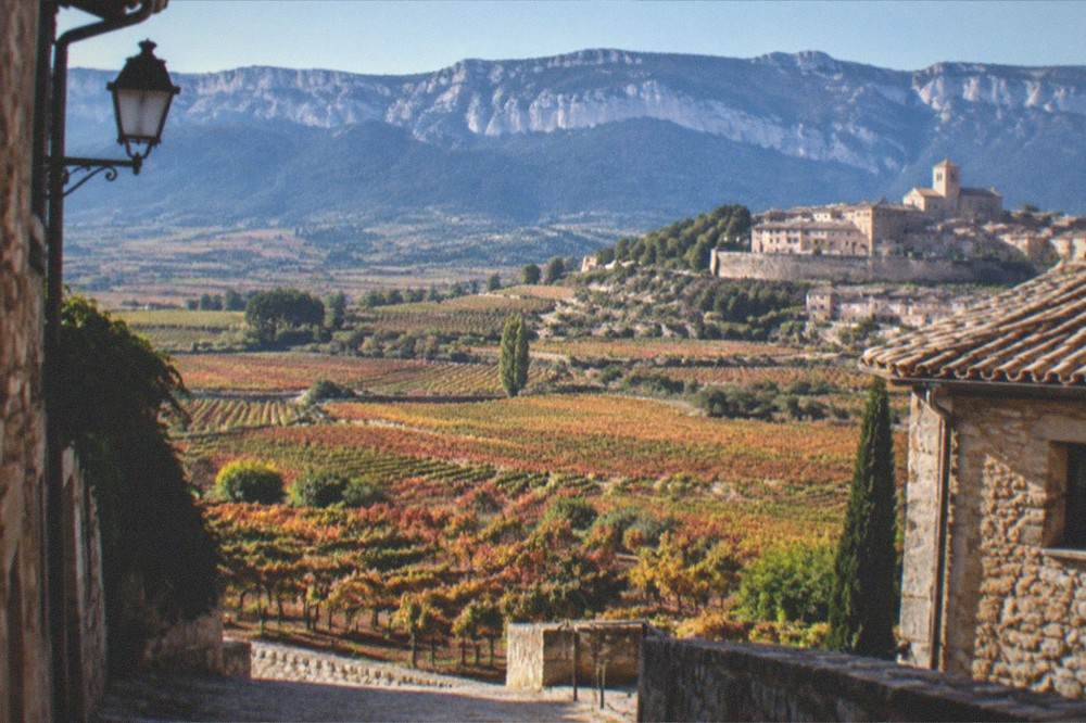 Vineyard valley landscape of Rioja Alavesa seen from near Laguardia