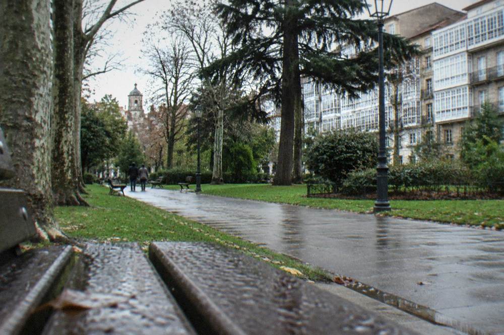 Green park with mature trees and a walkway in Vitoria-Gasteiz on an overcast day