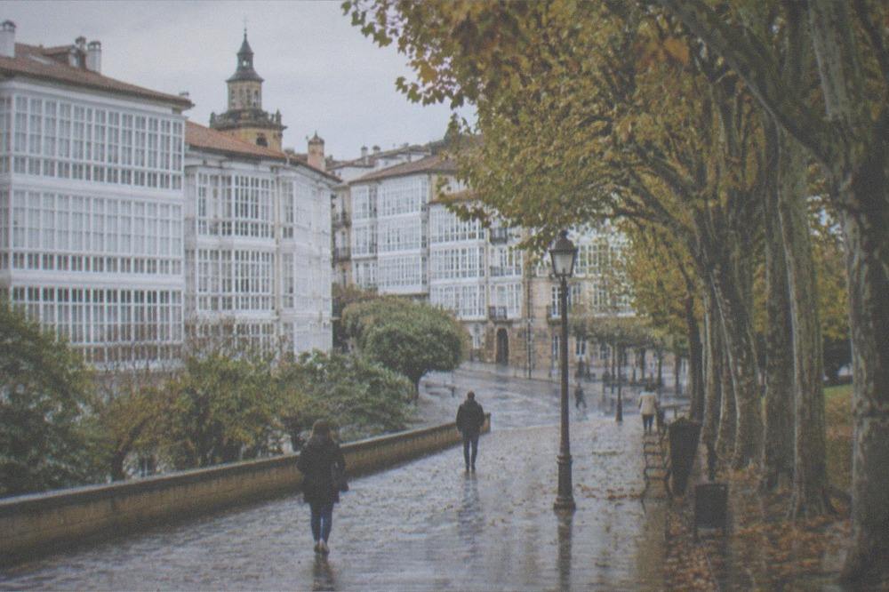 Autumn trees along a walkway in a Vitoria-Gasteiz park with fallen leaves