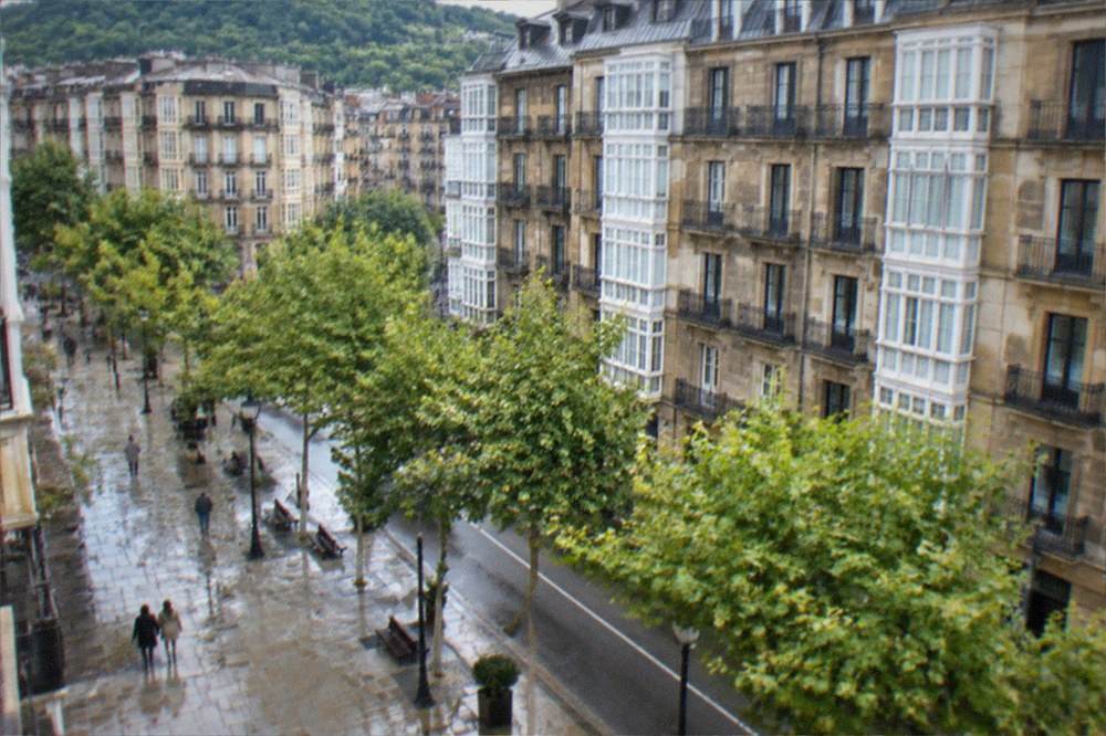 White dBus city bus at a stop on a tree-lined San Sebastián street