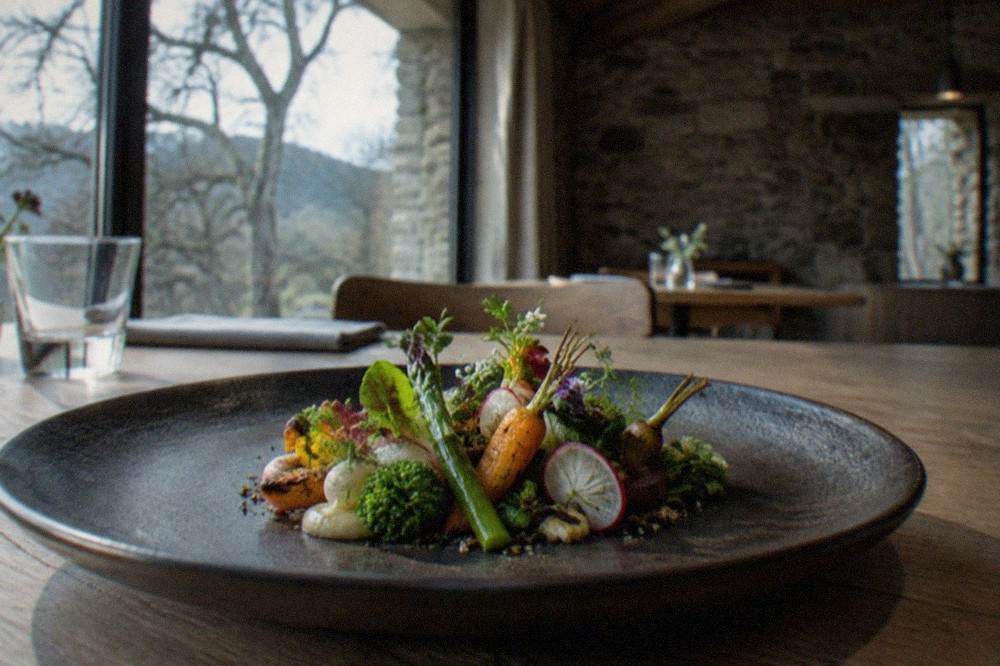 A plated dish of vegetables arranged as a garden on a dark ceramic plate