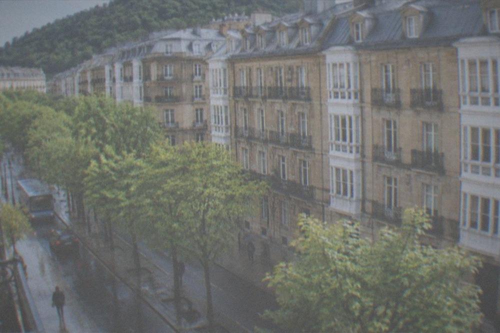 A dBus city bus on a tree-lined street in central San Sebastián
