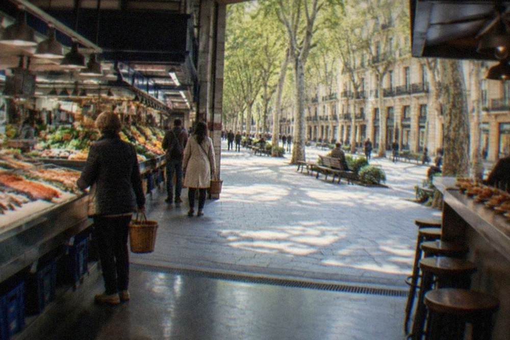 A wide city avenue with rows of plane trees, benches and shopfronts under ornate buildings