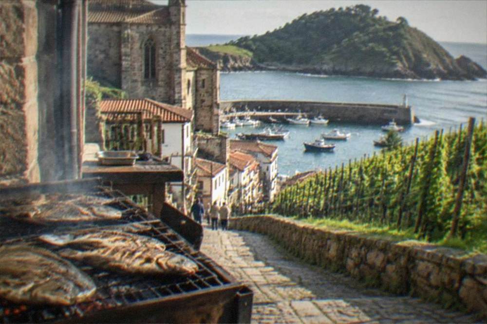 White txakoli vines on a green slope above the fishing port of Getaria