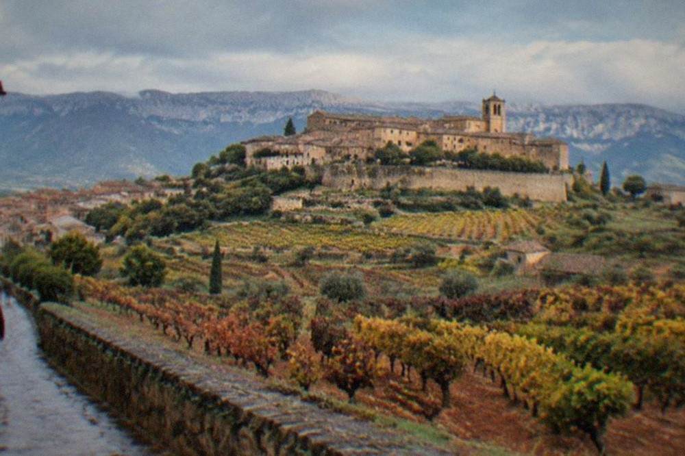 The walled hilltop village of Laguardia above Rioja vineyards